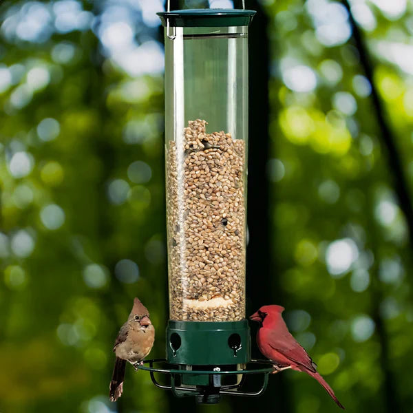 Squirrel Proof Bird Feeder