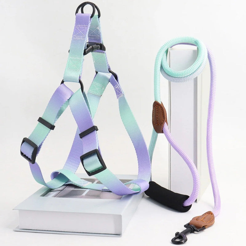 Chest for Dog, Harness for Dogs, Leash Pet Supplies, Puppy Accessories Collars, Harnesses Leashes, Pets Collar