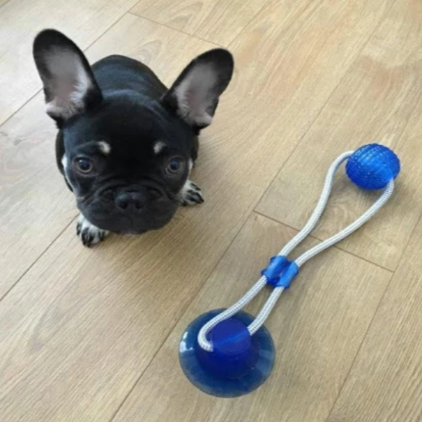 dog Suction Cup Toy