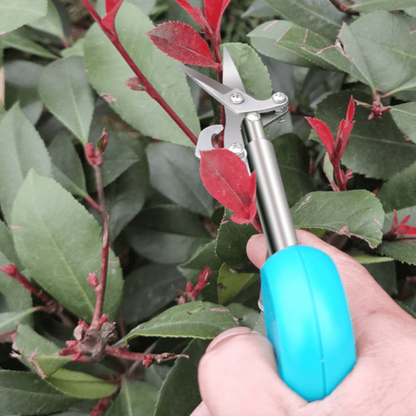 Pointed Gardening Scissors