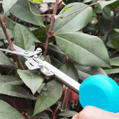 Pointed Gardening Scissors